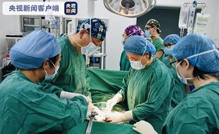 国内首例卵巢组织冻存移植患者自然妊娠成功-1-1.jpg