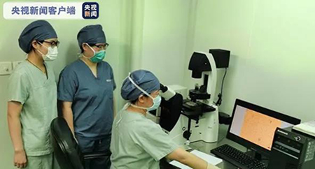 国内首例卵巢组织冻存移植患者自然妊娠成功-2-1.jpg